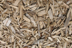 biomass boilers Warsash
